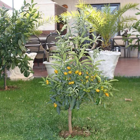 With Parking Space Okrug Gornji, Ciovo - 7546 Trogir