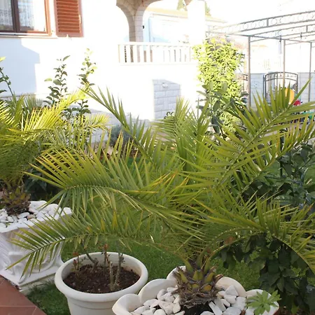 شقة With Parking Space Okrug Gornji, Ciovo - 7546